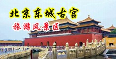 人人操肉肉爽歪歪爽中国北京-东城古宫旅游风景区